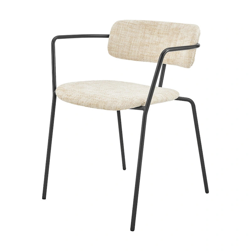 Alivia Fabric Dining Side Arm Chair, (Set of 2)